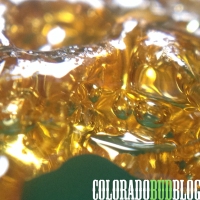 How to Winterize BHO "Dewaxing"